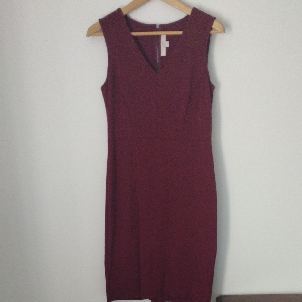 Elegant Burgundy Sleeveless Dress